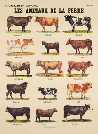 Marcel Broodthaers. Les Animaux de la Ferme - photo 4