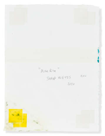SHARA HUGHES (B. 1981) - photo 2