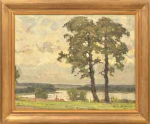 Landscape with trees