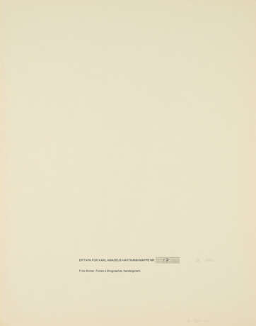 Fritz Winter. From: Epitaph Karl Amadeus Hartmann - photo 2
