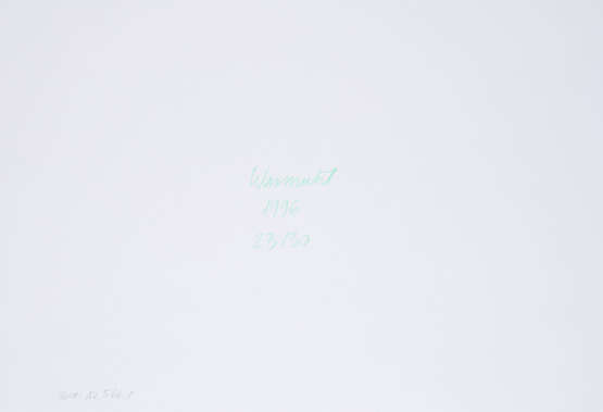 Corinne Wasmuht. Ohne Titel (Zellen/Sand) (Aus: ars viva 96/97) - Foto 2