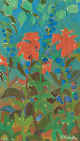 Constantin Polastri - photo 1