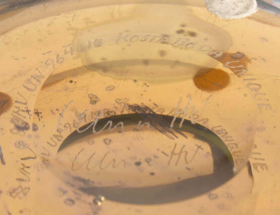Ulrica Hydman-Vallien, Vase "Morea" - photo 9
