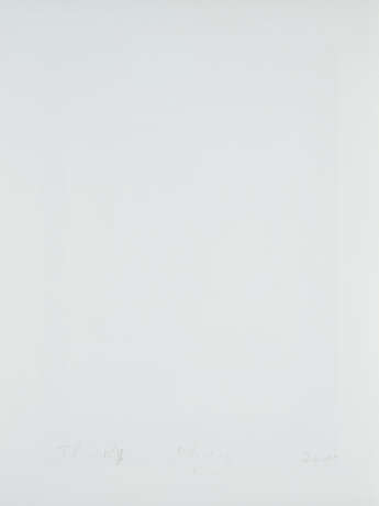 Thomas Ruff. Untitled - фото 2