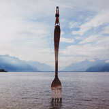 Wei Li. The force into - photo 1