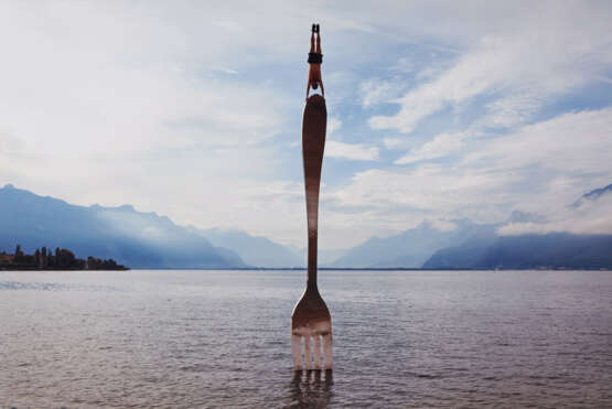 Wei Li. The force into - photo 1
