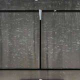 Wei Li. The force into - photo 2