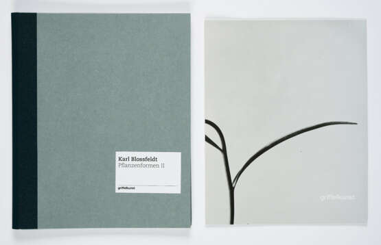Karl Blossfeldt. Pflanzenformen II - photo 9