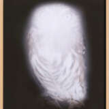 Anna Vogel. Smiling Barn Owl III - photo 2