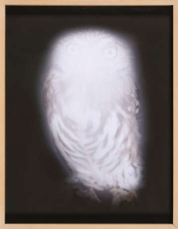 Anna Vogel. Smiling Barn Owl III - photo 2