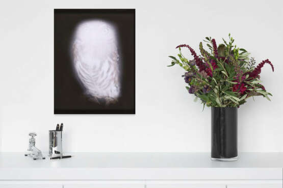 Anna Vogel. Smiling Barn Owl III - photo 4
