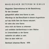 Anna & Bernhard Blume. Magischer Determinismus - photo 7