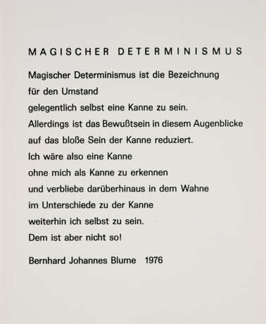 Anna & Bernhard Blume. Magischer Determinismus - photo 7