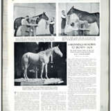 SIR ALFRED JAMES MUNNINGS, P.R.A., R.W.S. (MENDHAM, SUFFOLK 1878-1959 DEDHAM, ESSEX) - photo 17