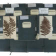 Umfangreiches Herbarium mit ca. 311 gesammelten un… - Maintenant aux enchères