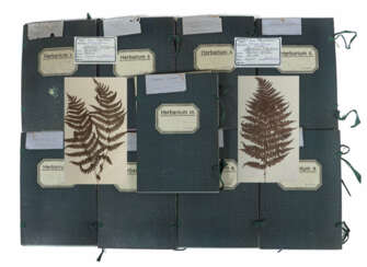 Umfangreiches Herbarium mit ca. 311 gesammelten un…