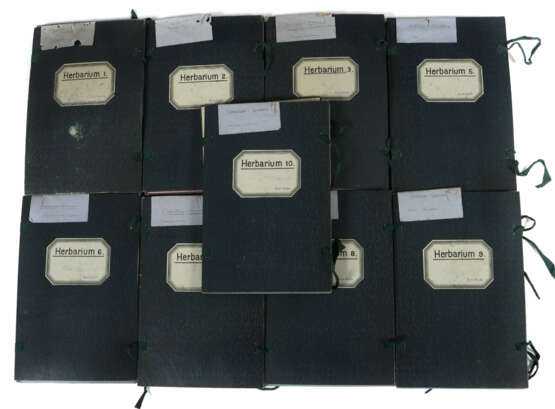 Umfangreiches Herbarium mit ca. 311 gesammelten un… - photo 2