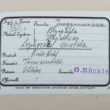 Umfangreiches Herbarium mit ca. 311 gesammelten un… - photo 3