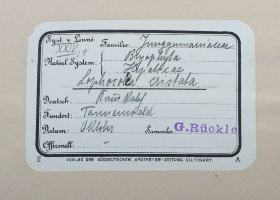 Umfangreiches Herbarium mit ca. 311 gesammelten un… - photo 3