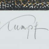 Kumpf, Gottfried Annaberg-Lungötz/Österreich 1930 … - photo 3
