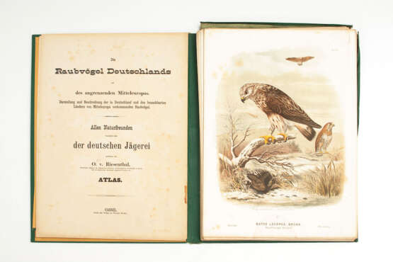 von Riesenthal, O.: "Die Raubvögel Deut - photo 1
