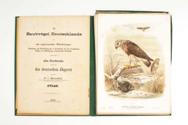 de Riesenthal, O.: "Les oiseaux de proie Deut