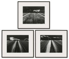 TOSHIO SHIBATA (B. 1949)