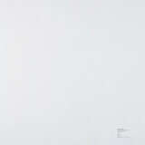 Sarah Morris. Geigy [Clips] - photo 2