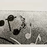 Sigmar Polke. Hopp - Foto 1