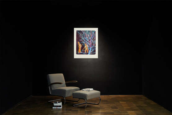 Daniel Richter. Flagge - photo 3