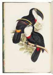 GOULD, John (1804-1881)