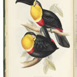 GOULD, John (1804-1881) - photo 2