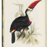 GOULD, John (1804-1881) - photo 3