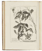 Westeuropa. DODART, Dionys (1634-1707)