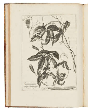 DODART, Dionys (1634-1707) - Foto 1