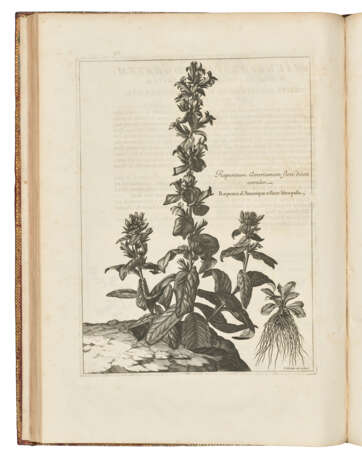 DODART, Dionys (1634-1707) - Foto 4