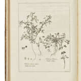 DODART, Dionys (1634-1707) - Foto 6