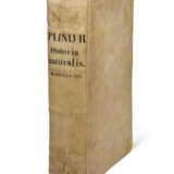 PLINIUS SECUNDUS, Gaius (Pliny the Elder, 23-79) - photo 4