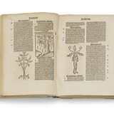 Hortus sanitatis [Strasbourg: Johann Prüss, not after 21 Oct... - Foto 1