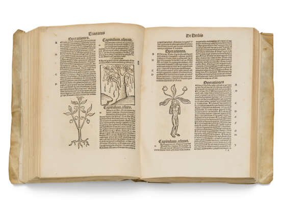 Hortus sanitatis [Strasbourg: Johann Prüss, not after 21 Oct... - Foto 1