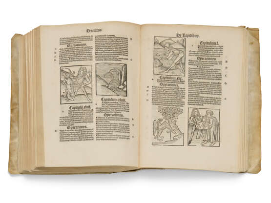 Hortus sanitatis [Strasbourg: Johann Prüss, not after 21 Oct... - Foto 3