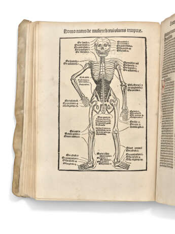 Hortus sanitatis [Strasbourg: Johann Prüss, not after 21 Oct... - Foto 6