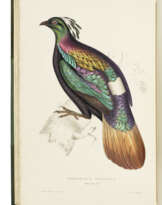 GOULD, John (1804-1881) and Nicholas Aylward VIGORS (1787-1840)
