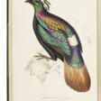 GOULD, John (1804-1881) and Nicholas Aylward VIGORS (1787-1840) - Сейчас на аукционе