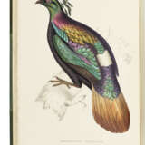 GOULD, John (1804-1881) and Nicholas Aylward VIGORS (1787-1840) - фото 1