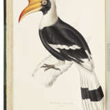 GOULD, John (1804-1881) and Nicholas Aylward VIGORS (1787-1840) - фото 3