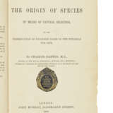 DARWIN, Charles Robert (1809-1882) - photo 2