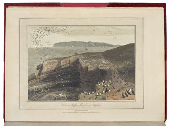 DANIELL, William (1767-1837) and Richard AYTON (1786-1823) - фото 8