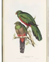 GOULD, John (1804-1881)