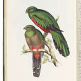 GOULD, John (1804-1881) - photo 1